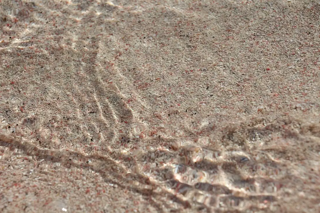 Close view of Elafonisi sand showing white grains mixed with broken pink shell fragments
