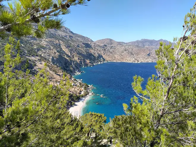 A deep blue bay held between steep grey mountain ridges, seen from high above through pine branches, with a short pale beach at the foot of the drop and turquoise shallows over rock along its edge.