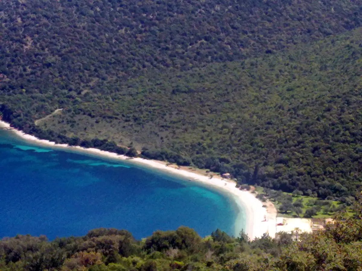 Antisamos bay on Kefalonia seen from the hillside above: a steep amphitheatre of dense green woodland coming down to a thin white pebble crescent, with clear turquoise water stepping to deep blue