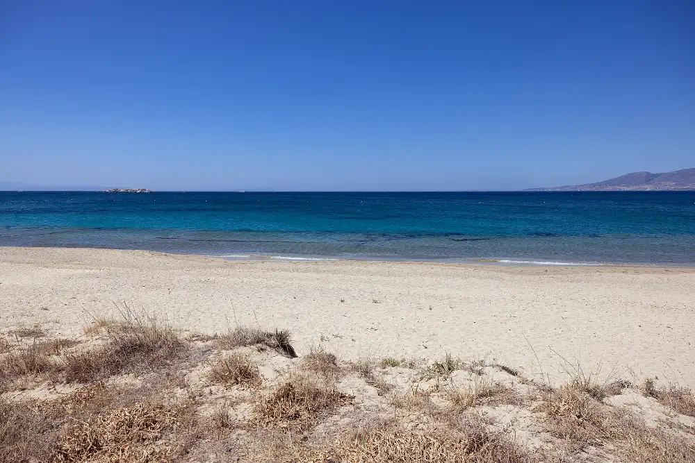 Empty pale sand and clear turquoise water at Agia Anna on the west coast of Naxos, with a low dune of dry grass in the foreground under a deep blue sky