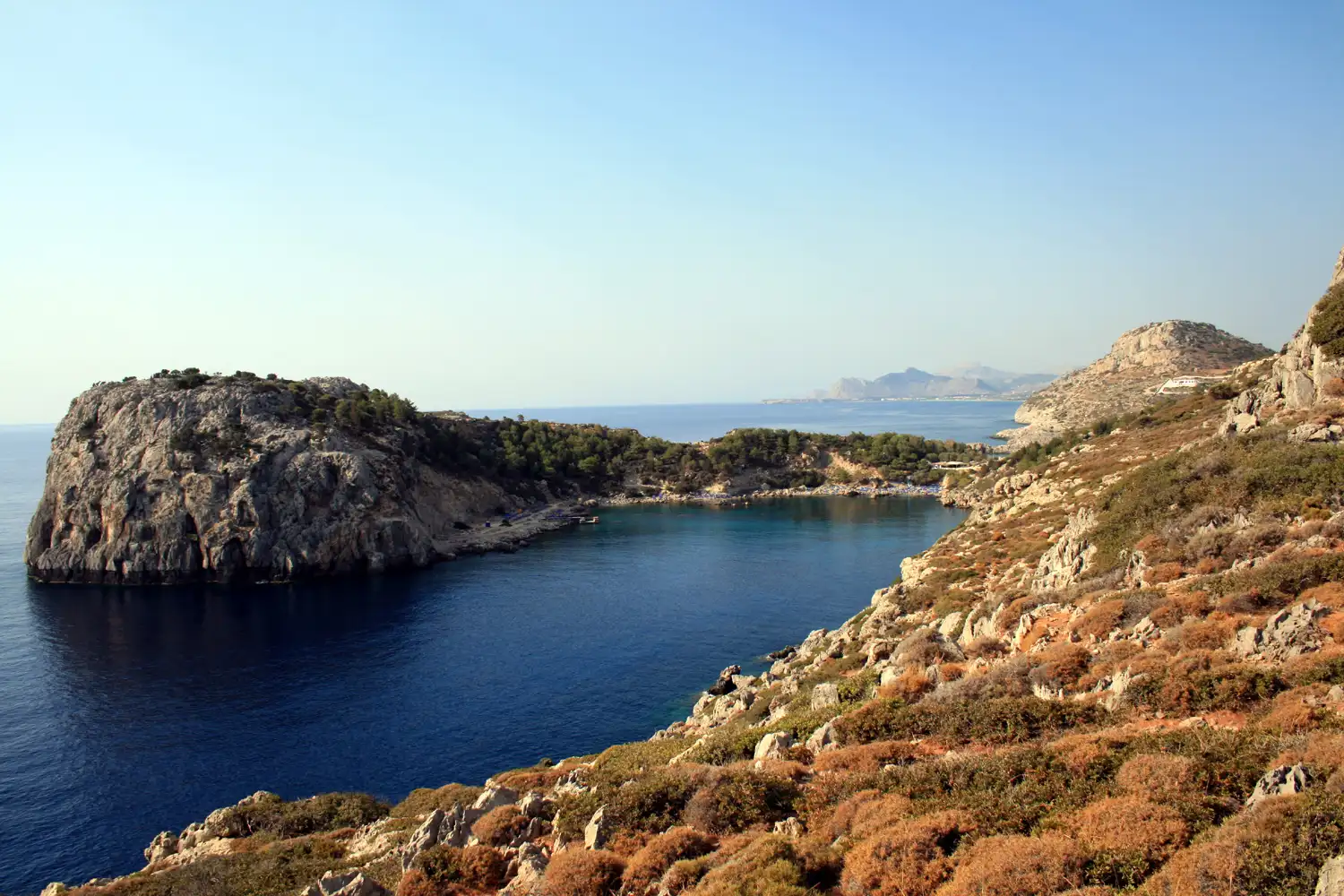 Anthony Quinn Bay on the east coast of Rhodes seen from the hillside above: a small pine-backed cove of deep blue water closed by a white limestone headland