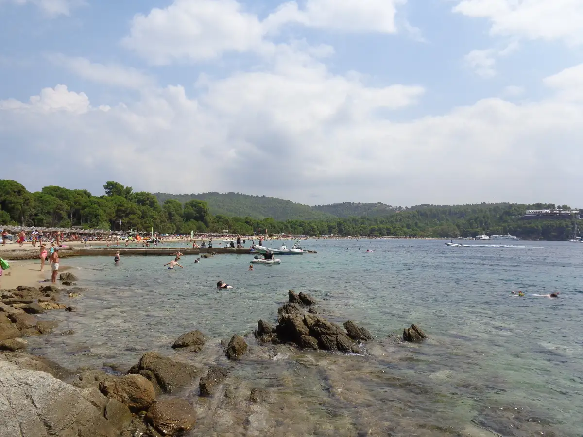 A long sandy beach lined with rows of straw parasols, backed by a dense wall of pine that runs right down to the sand, with clear shallow water and low rocks in the foreground.