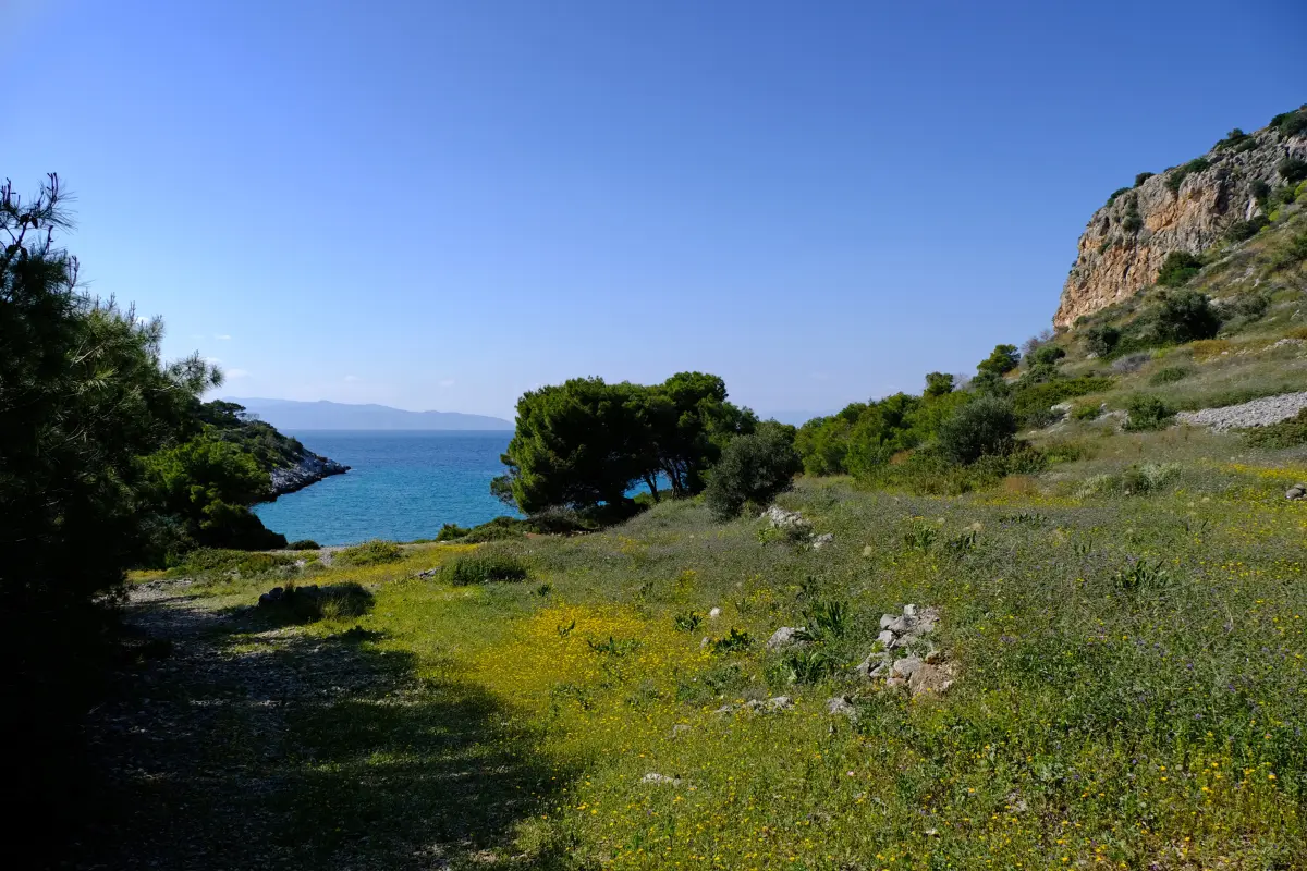 Agistri: an hour from Piraeus, and covered in pine