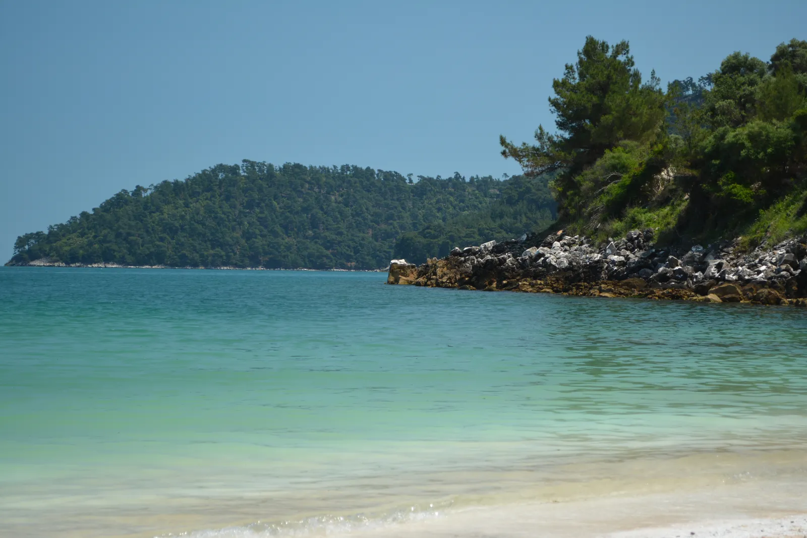 A pale pebble cove on Thassos backed by pine, the water shading from green to blue