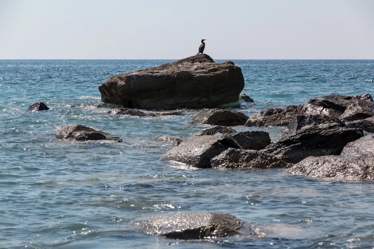 Vlychada: the beach under the carved cliffs