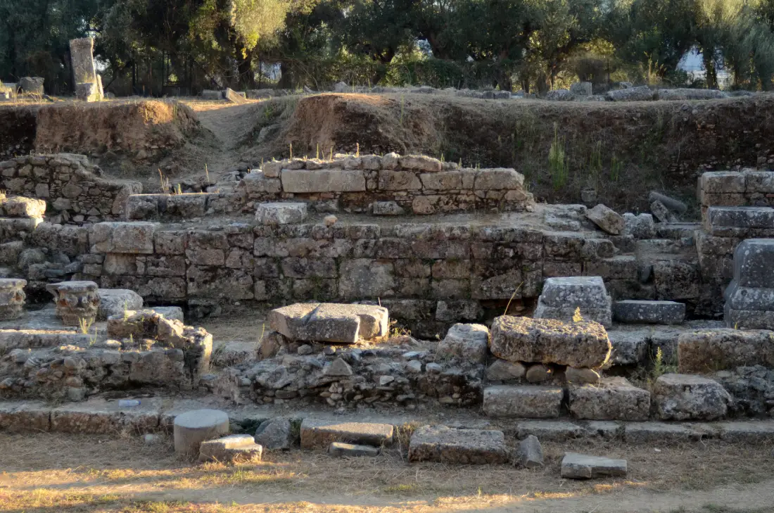 מדרגות האבן החפורות של התיאטרון העתיק בספרטה, ועצי זית על המדרון שמעליו