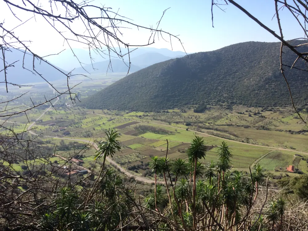 המישור הארקדי מתחת לטריפולי, שדות מעובדים שנמשכים עד רכס מיוער והרים מאחוריו